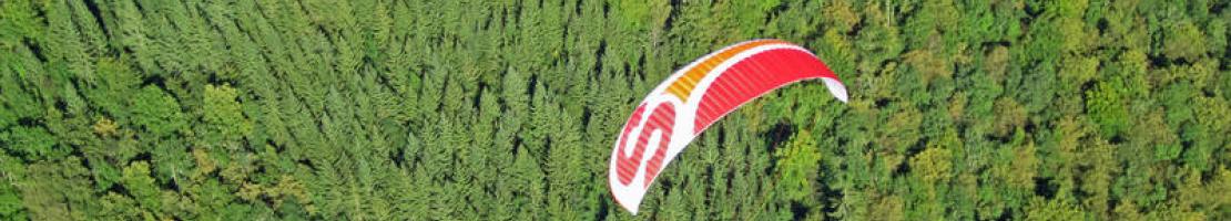 2 parapentes devant une forêt